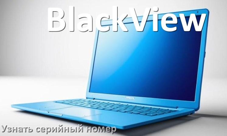 
Как узнать серийный номер ноутбука BlackView где посмотреть в Windows 10 и 11
