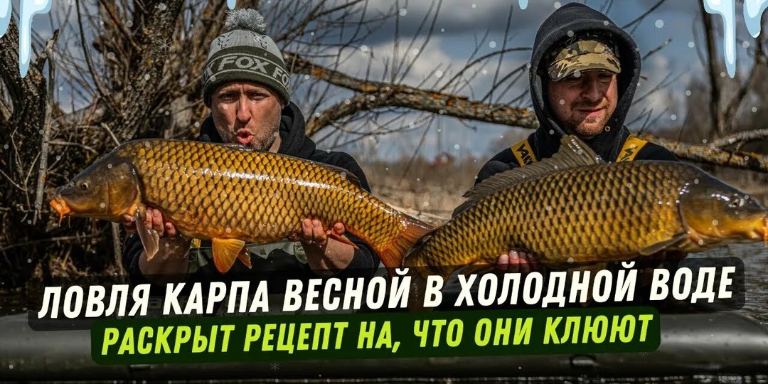 Как и где ловить карпа в марте, гайд от А до Я