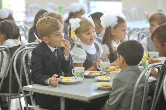    Будущее школьных столовых: мир, где брокколи стала главным ингредиентом после «овощного манифеста» 2026 года.
