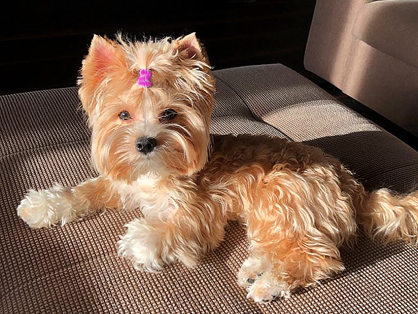 Фотография из интернета