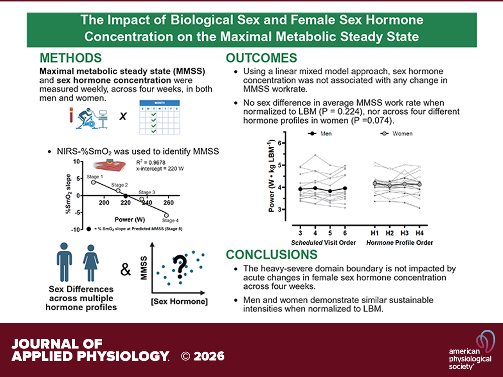 Изображение представляет собой научный слайд из публикации в Journal of Applied Physiology (2026), визуализирующий методы, результаты и выводы исследования о влиянии пола и концентрации половых гормонов у женщин на максимальное метаболическое устойчивое состояние (MMSS). (источник: https://journals.physiology.org/doi/full/10.1152/japplphysiol.00913.2025)