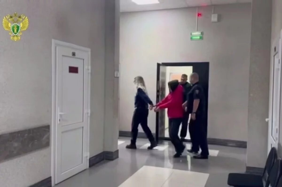    В суд направлено дело матери, пытавшейся зарезать трёхлетнего сына