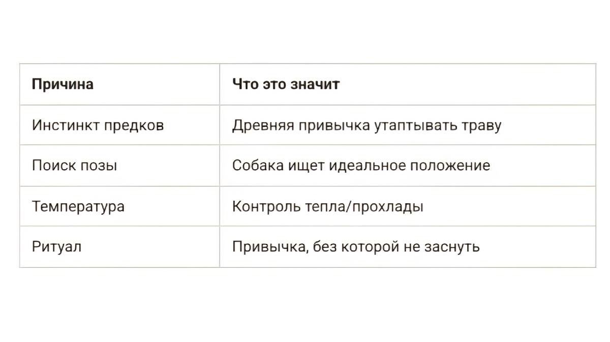 Какова бы ни была причина, ритуал для собаки дело святое!