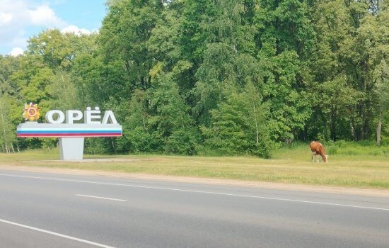    Фото: ИА «Орелград»