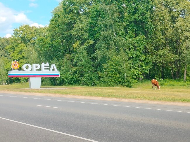    Фото: ИА «Орелград»