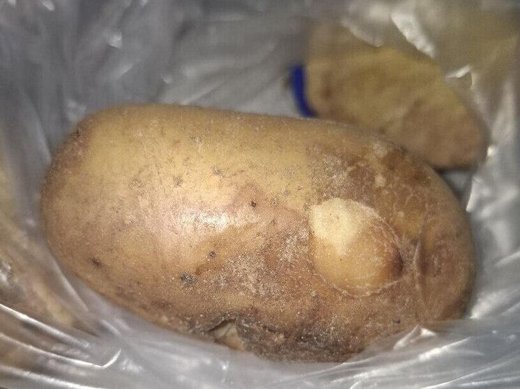     то Россельхознадзор Забайкалья