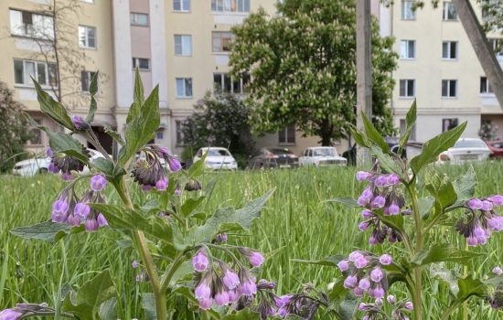    Фото: ИА "Орелград" / Светлана Числова