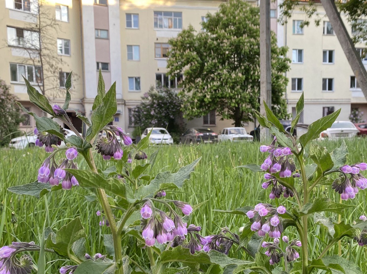    Фото: ИА “Орелград” / Светлана Числова