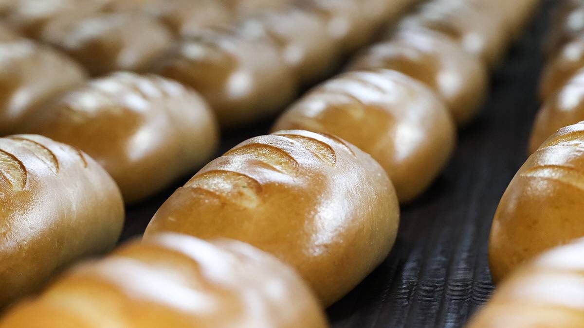    Фото: Ярослав Чингаев / АГН Москва