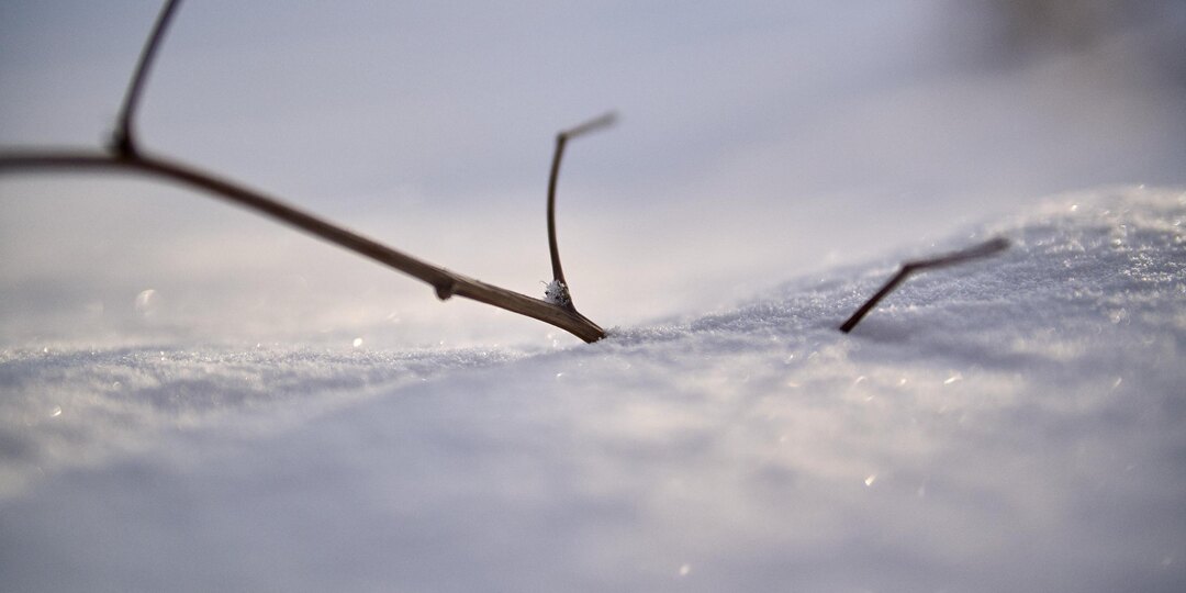 Солнечный день и сближение Луны с Юпитером