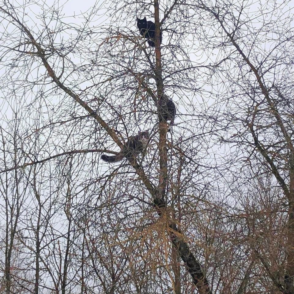 Фото из открытых источников интернета