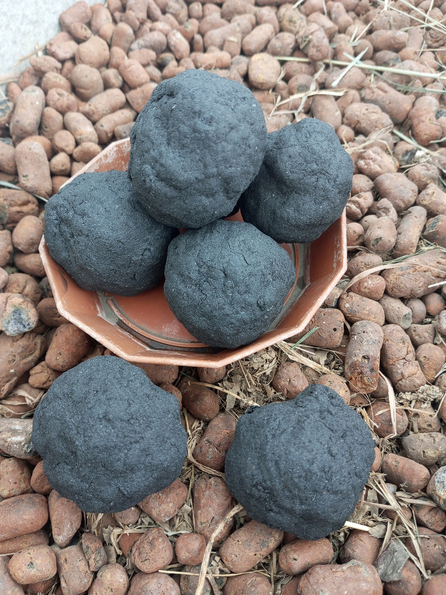 Слегка увлажнить и слепить колобки. 