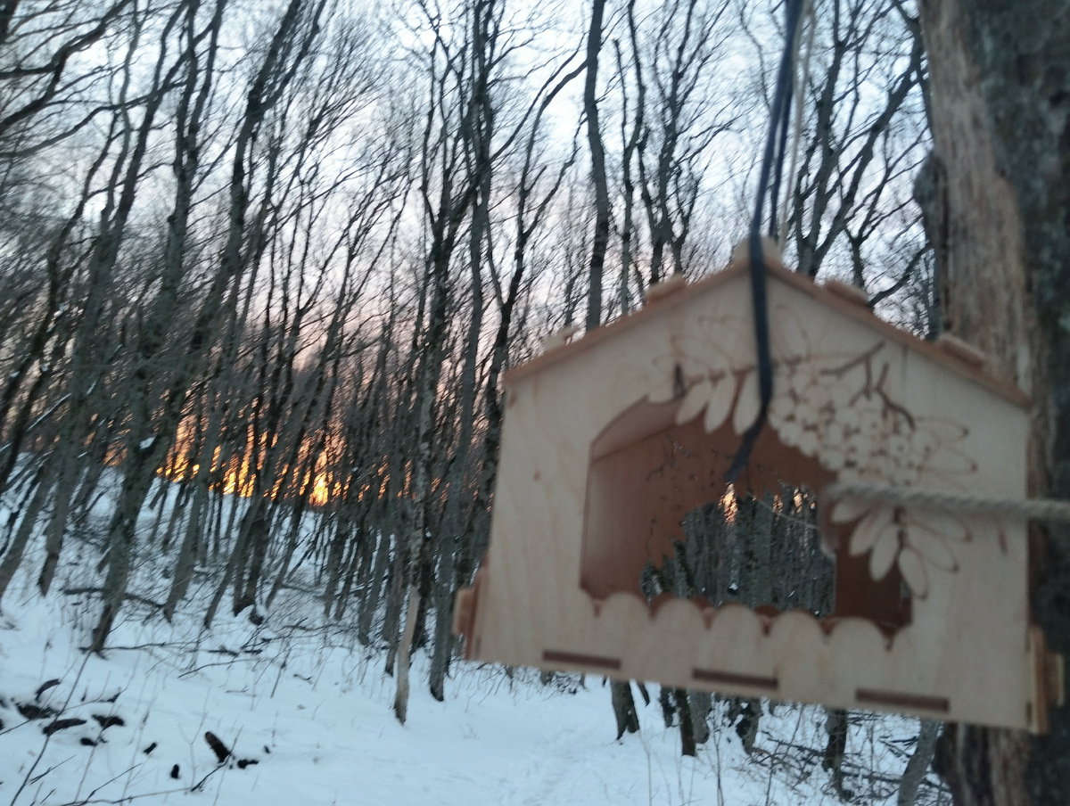 Дзен по-прежнему может быть хорошей кормушкой. Не финансовой, так энергетической!