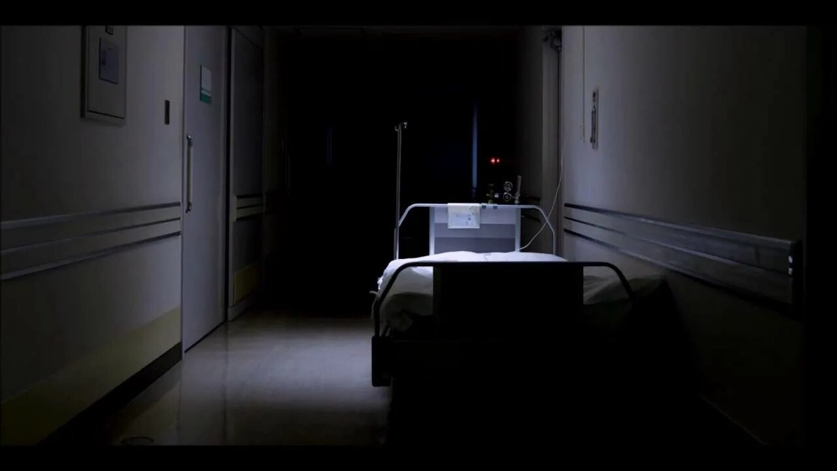 Изображение взято из открытых источников интернета. 