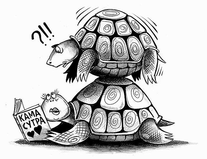 Камасутра для черепах и силиконовые губы в хулиганских карикатурах Сергея Корсуна
