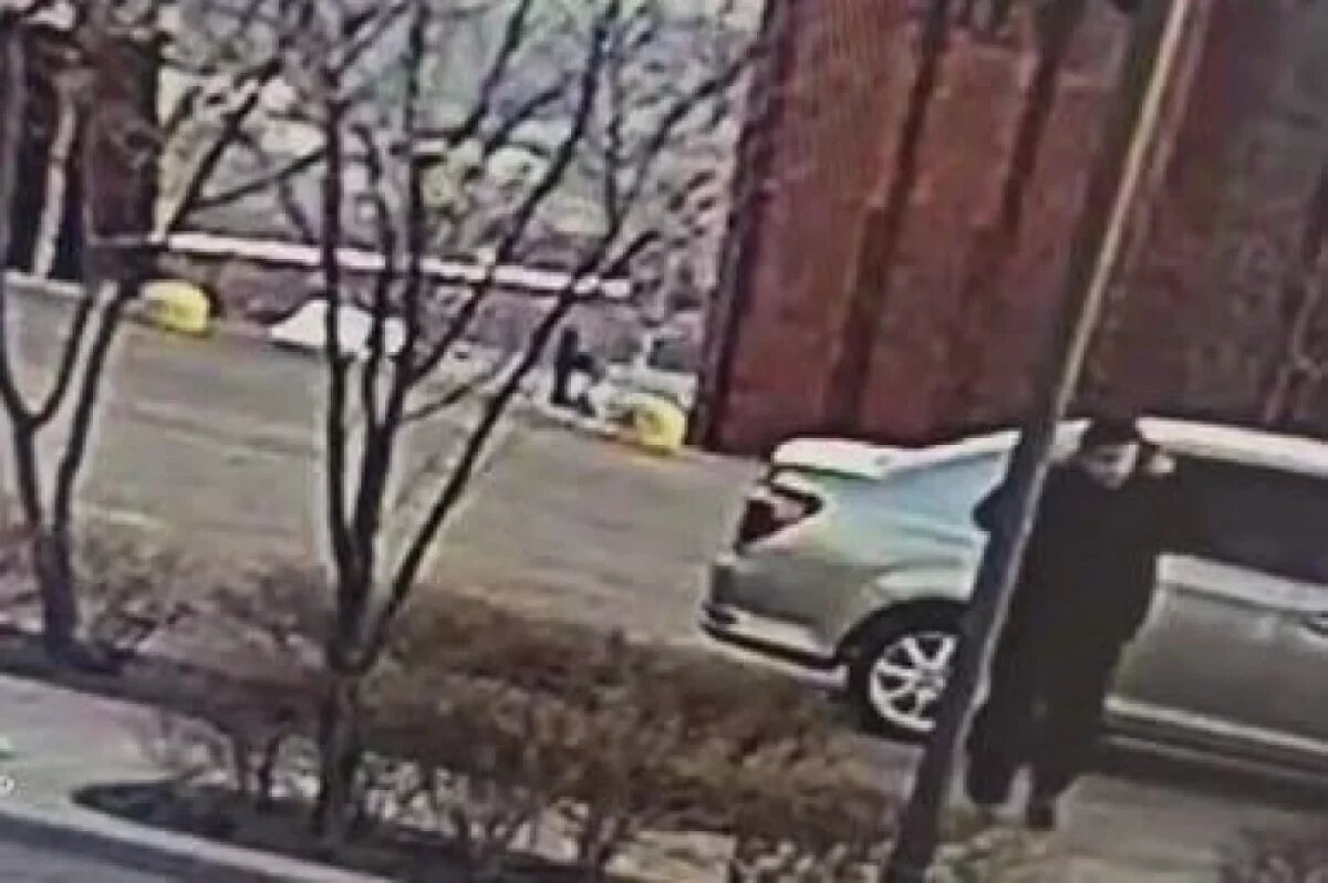    Полиция Владивостока установила, что кражи детского самоката не было