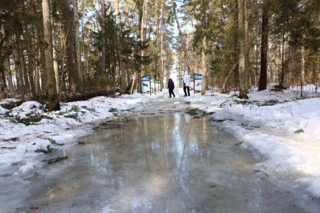  Фото: телеграм-канал Куршской косы