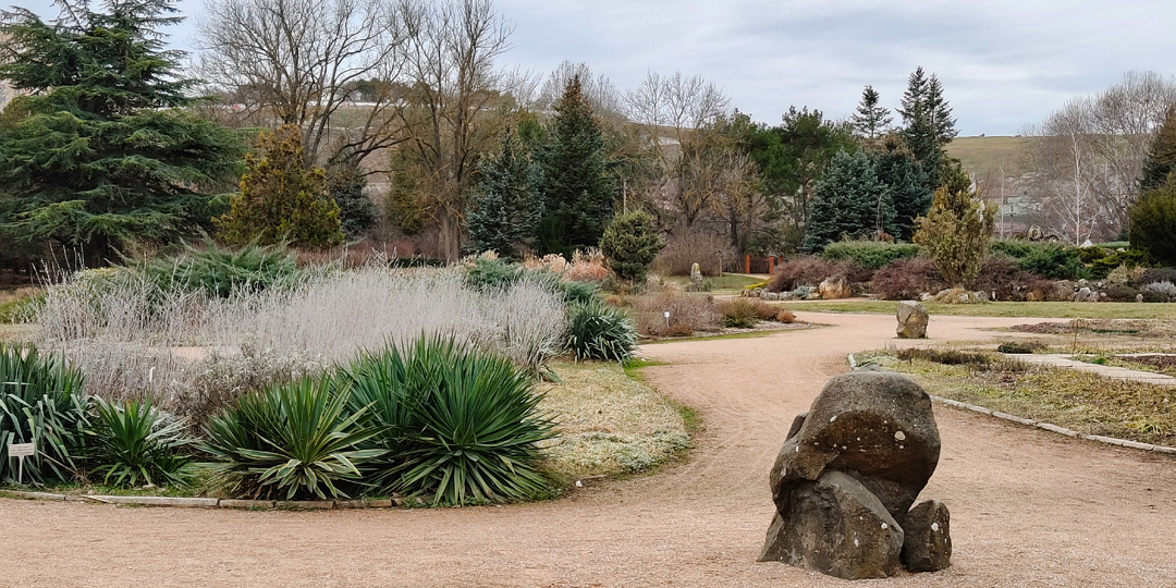 Ботанический сад, но не Никитский 😉