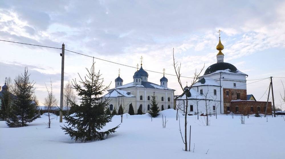    Фото: Брянская епархия