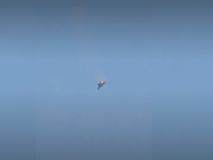     Фото: крин из соцсетей