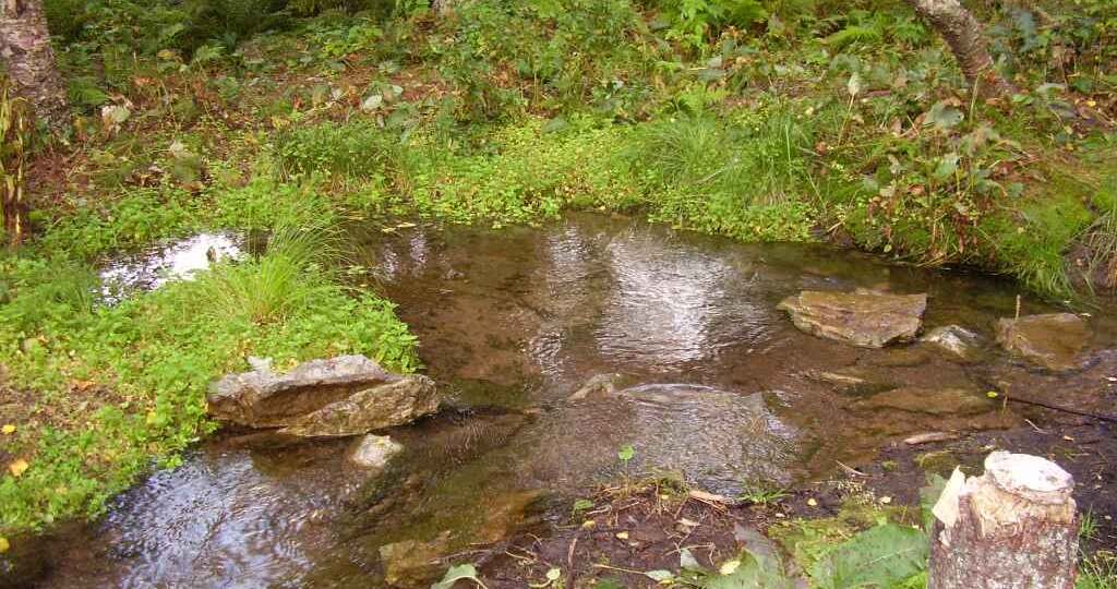 Ручьи Средней полосы России: где искать золотые россыпи и самородки