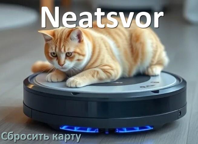 
Как на роботе пылесосе Neatsvor сбросить карту помещения
