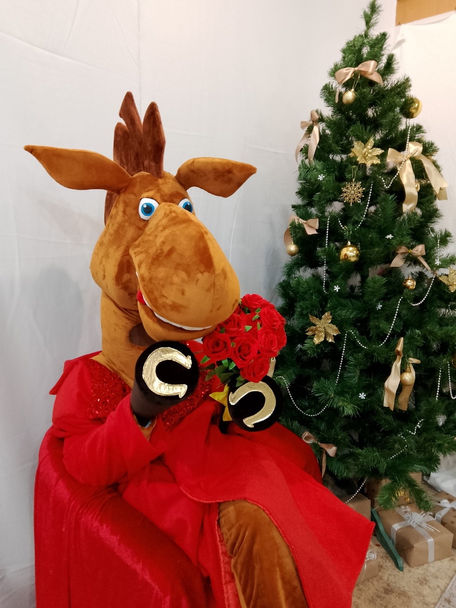 Конь в пальто