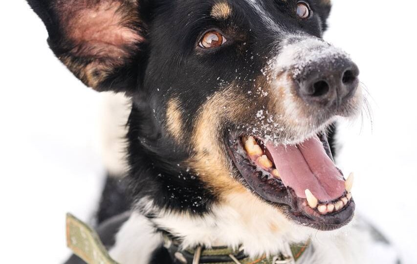 Этот день мы начнём с кое-кем очень красивым…🤭