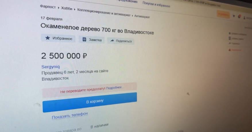    Источник фото: