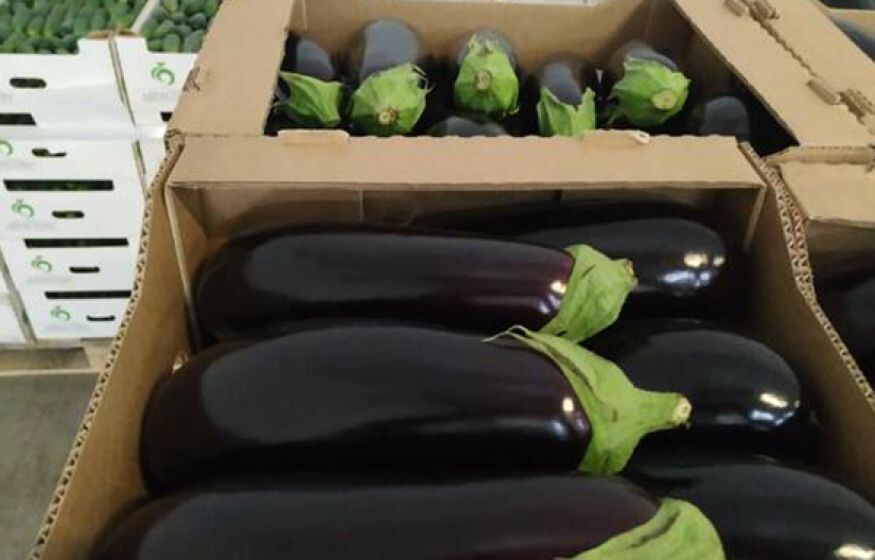    В Нижнем Новгороде арестовали главу Института демографического развития за мошенничество