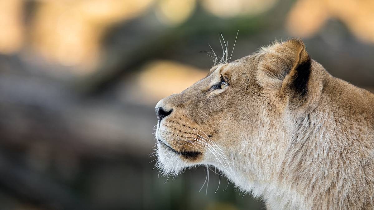    Фото: Shutterstock