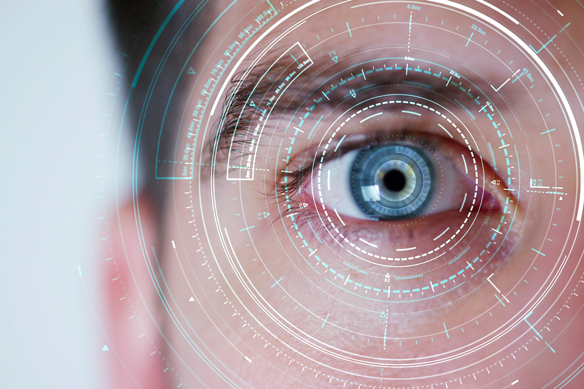    Фото: Kitreel / Shutterstock.com