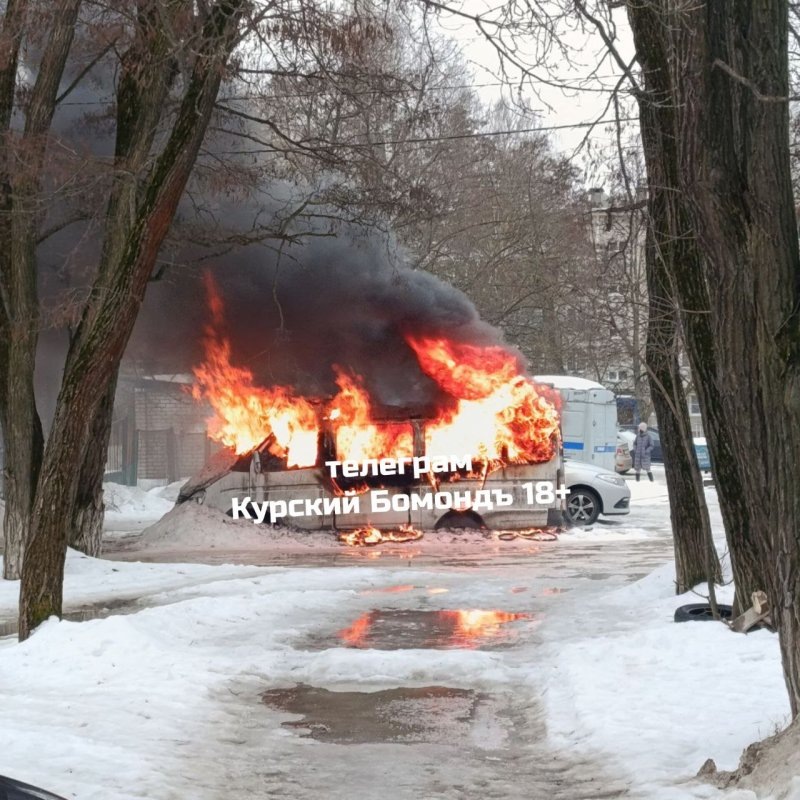     © фото - Телеграм Курский Бомондъ 18+