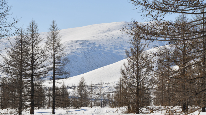    Фото: Манзюк Александр/ТАСС