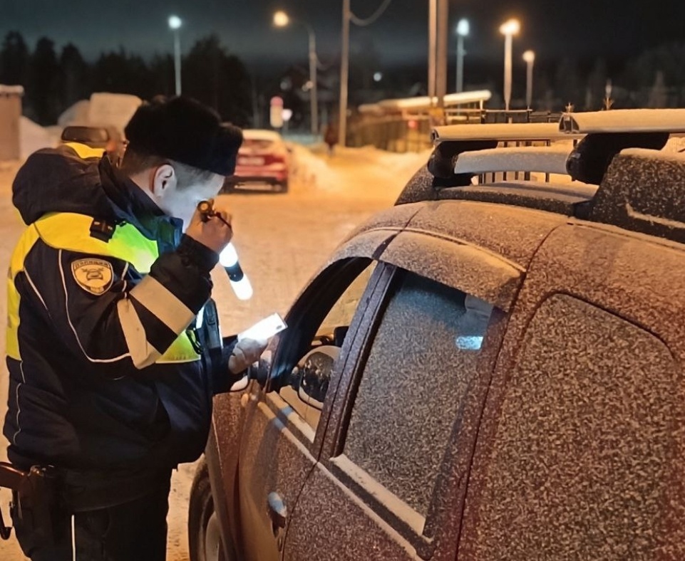    Фото: Госавтоинспекция Петрозаводска / ВК