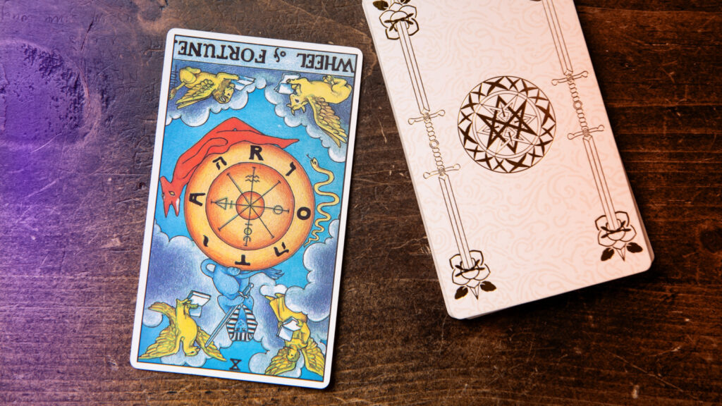    Фото: Shutterstock