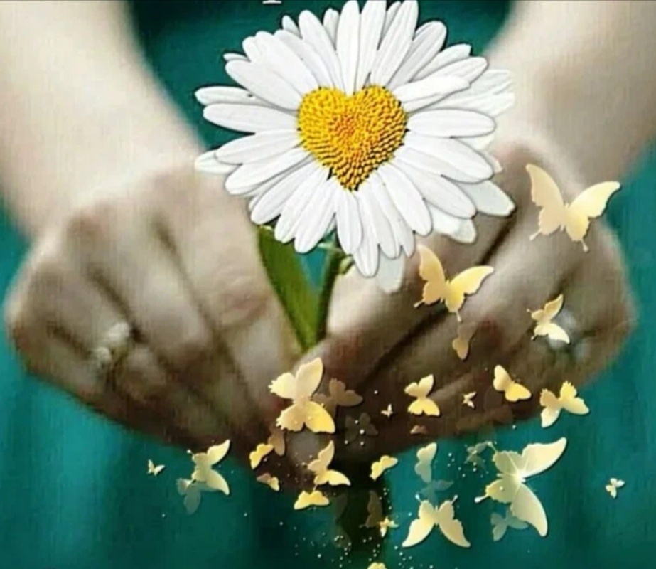 Молитва - это действие любви в нашем сердце. 