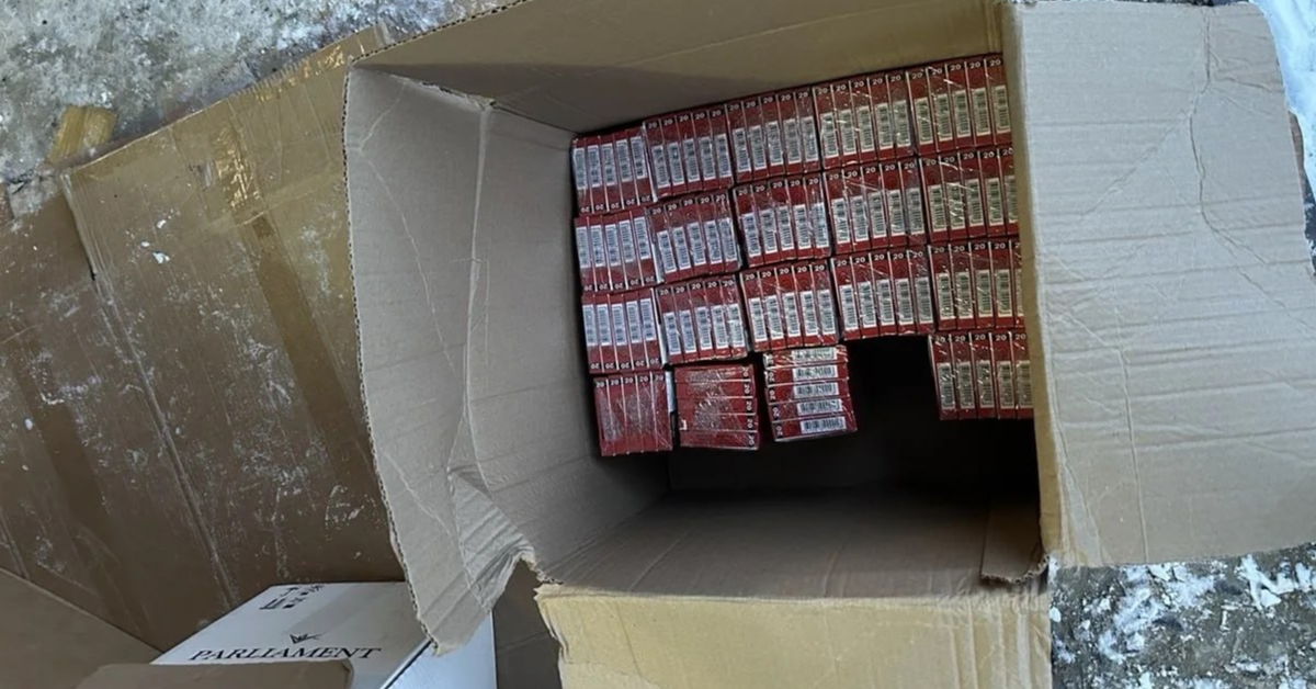 Фото: пресс-служба ГУ МВД России по Челябинской области