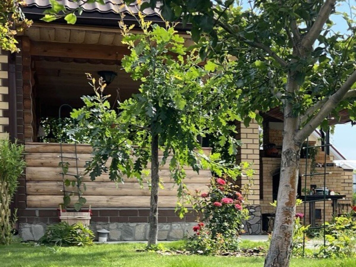 Дубок в центре фото летом 2023 года