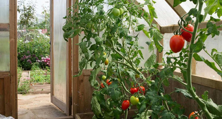    Создано нейросетями