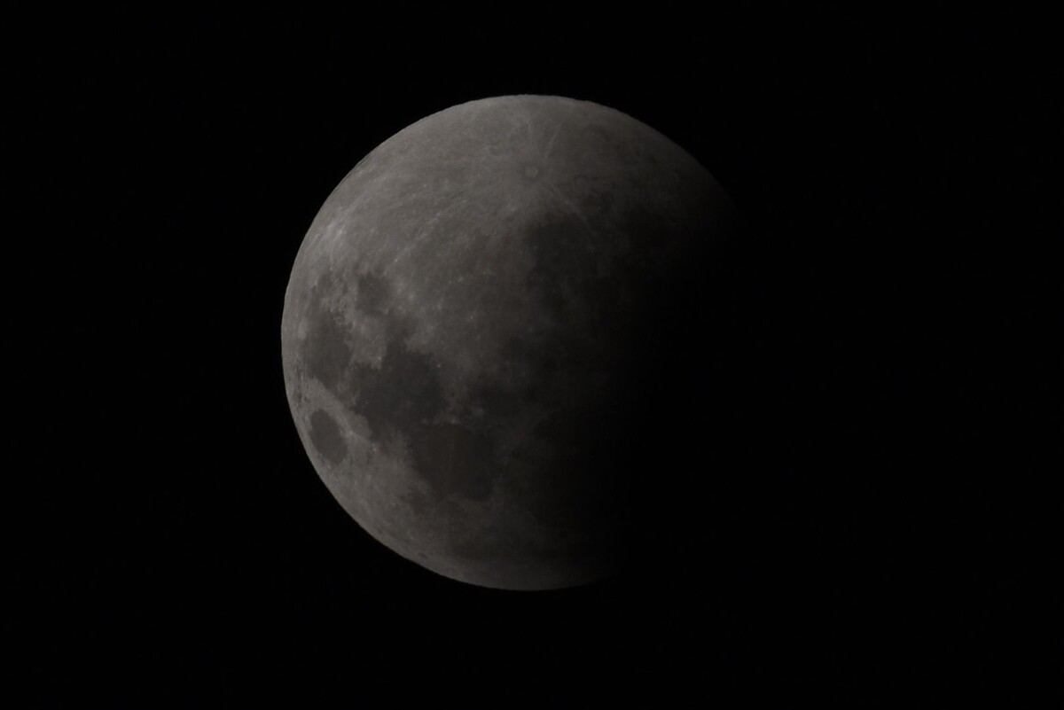     / Источник: © Rana Sajid Hussain/Global Look Press