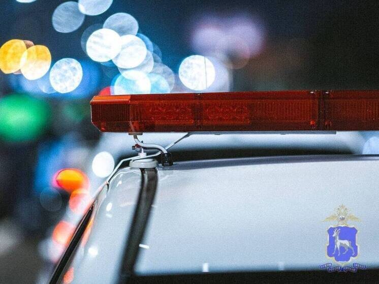     Фото: ГУ МВД России по Самарской области