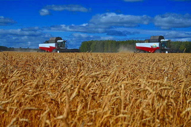 Фото: Людмила Ковалева, из архива редакции
