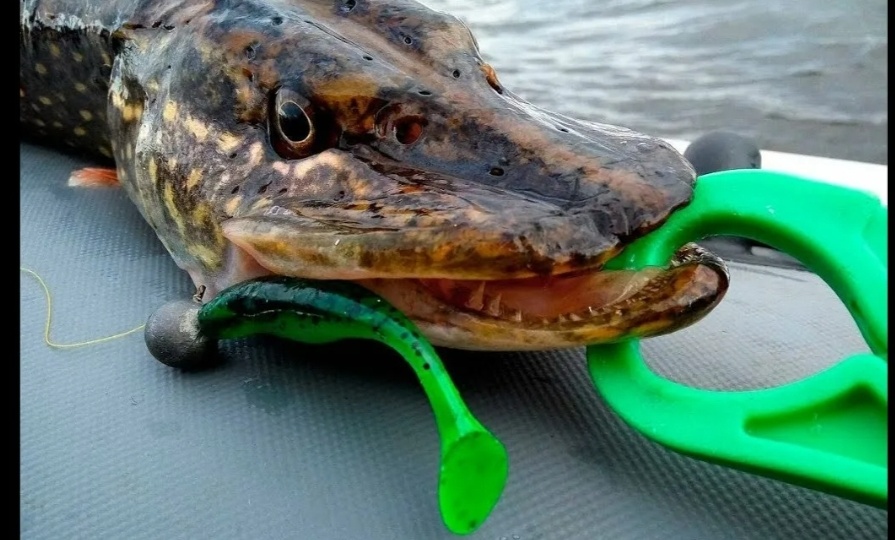 Ловля щуки на силиконовые приманки, и преимущества ловли на силикон❗️