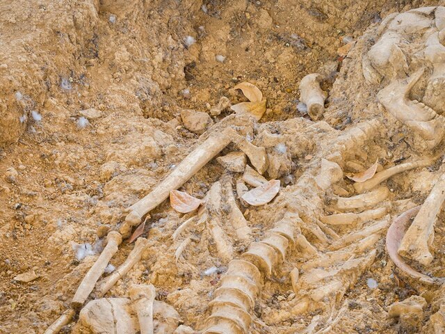    Фото: 123RF.com/a3701027