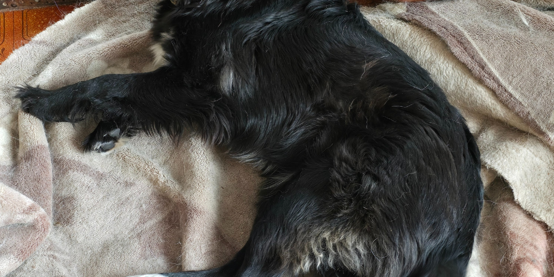 Леди никого не винит.