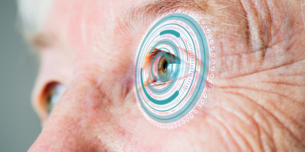 Источник: https://ru.freepik.com/