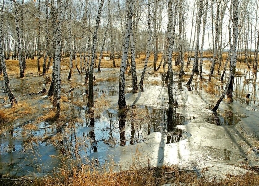 Фото из открытых источников