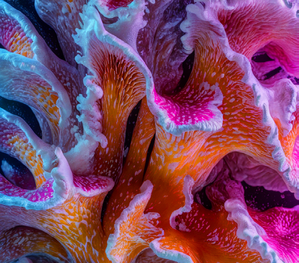 11. Генеративные реальности. ТЕХНОЛОГИИ. 100 трендов 2026