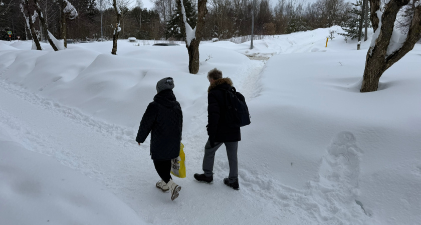    Фото prochepetsk.ru